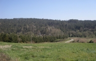Vista de la parroquia