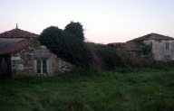 Pazo (IV)