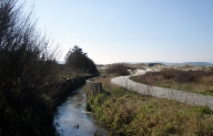 Un paseo entre las dunas