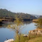 El río Anllóns (IV)