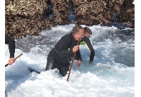 Percebeiros de Corme.
