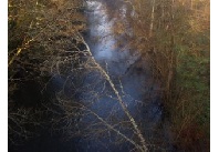 Margen del Anll�ns