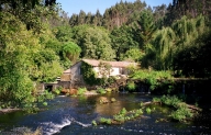 Fervenzas de Samia