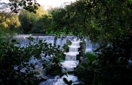 Fervenzas de Samia