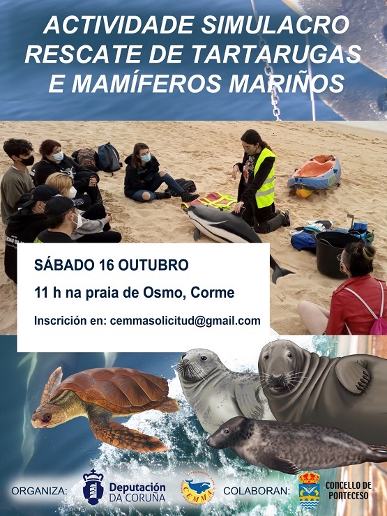 Actividade simulacro de rescate de tartarugas e mamíferos mariños Actividade simulacro de rescate de tartarugas e mamíferos mariños